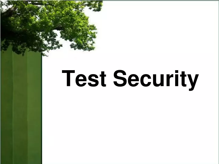 test security n.