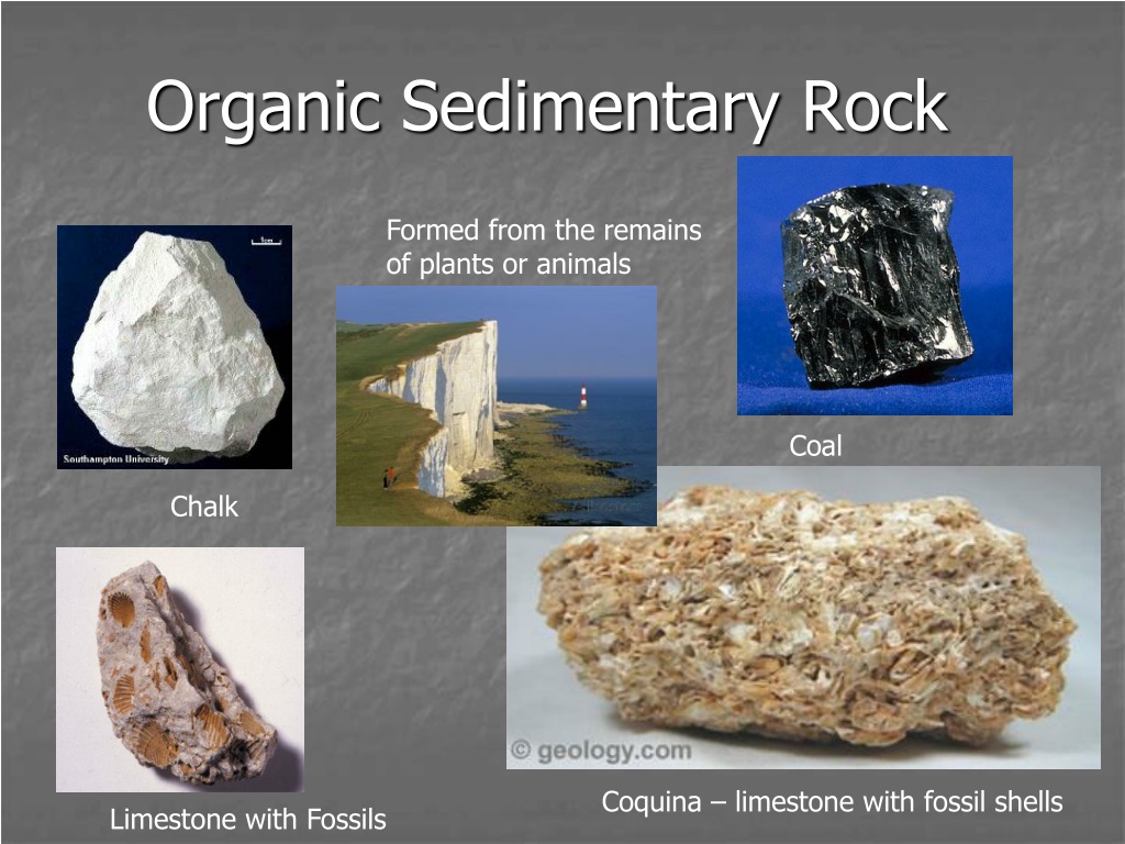 Organic Sedimentary Rocks Examples