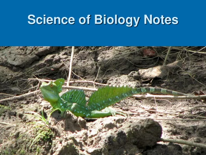 biology notes powerpoint presentation