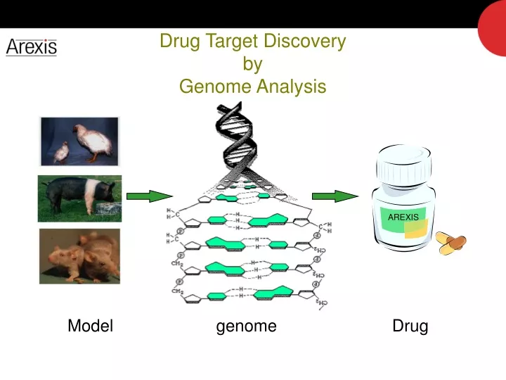 PPT - Drug Target Discovery by Genome Analysis PowerPoint Presentation ...