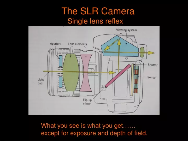 the slr camera single lens reflex n.