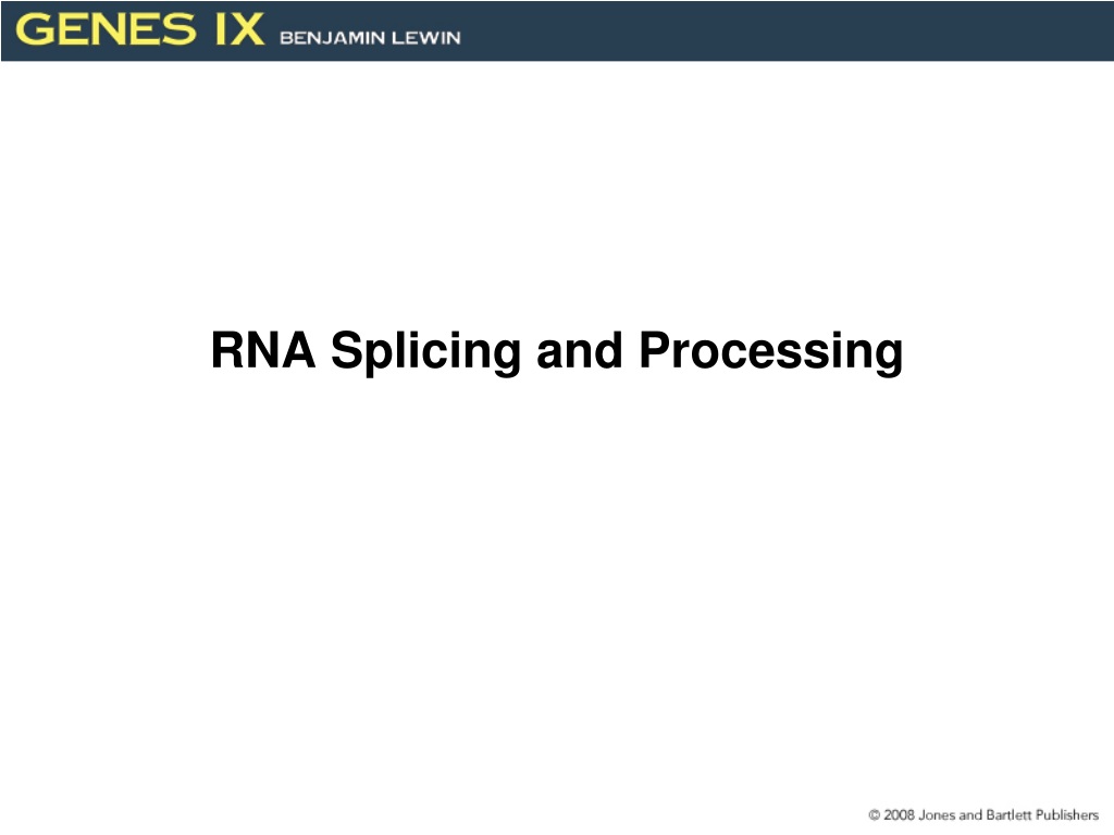 PPT - RNA Splicing And Processing PowerPoint Presentation, Free ...