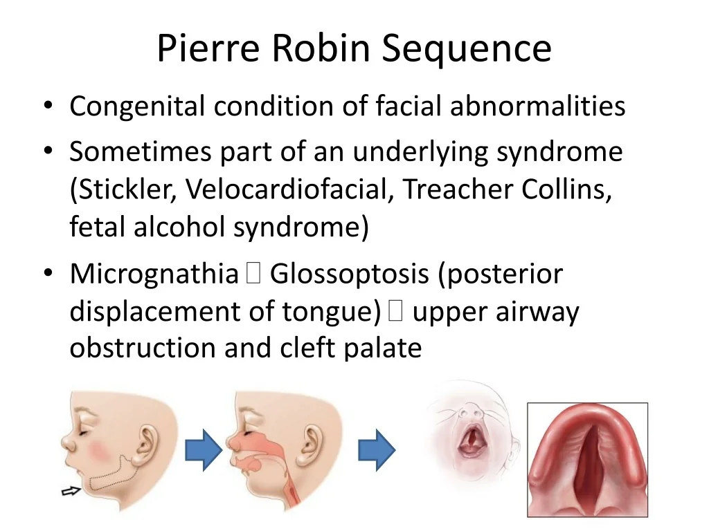 PPT Genetics 101 And 201 Inheritance Patterns And Phenotypes 