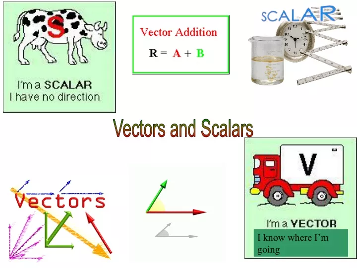 ppt-vectors-and-scalars-powerpoint-presentation-free-download-id