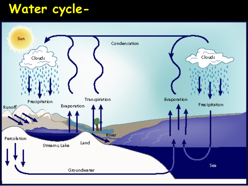 Цикл воды в организме. Круговорот воды. Круговорот воды в природе. Water Cycles. Циркуляция воды в природе.