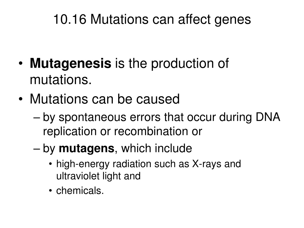 PPT - THE FLOW OF GENETIC INFORMATION FROM DNA TO RNA TO PROTEIN