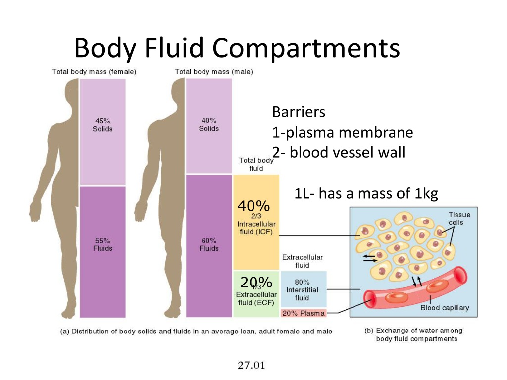 iv fluids and body fluid compartments