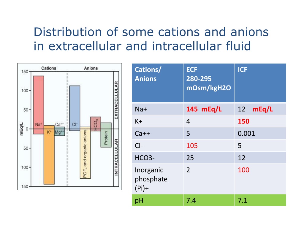 PPT - Body Fluids & Blood PowerPoint Presentation, Free Download - ID ...