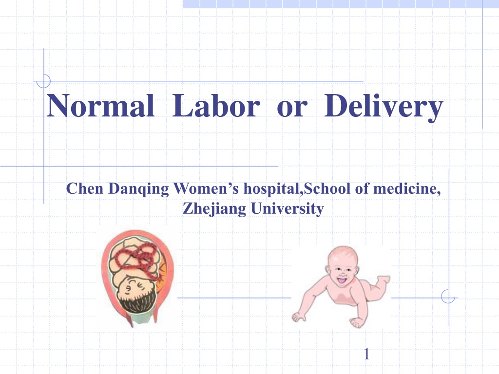 PPT - Ch11. Parturition PowerPoint Presentation, free download - ID:739623
