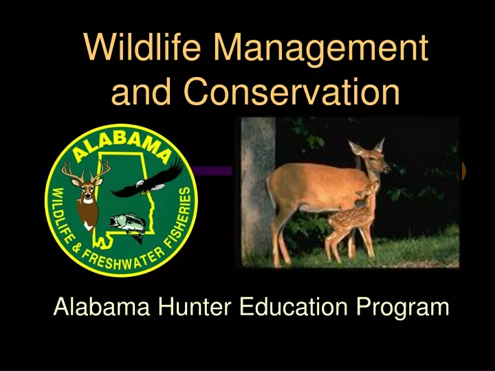 Ppt Wildlife Management And Conservation Powerpoint Presentation Free Download Id9327611 7541