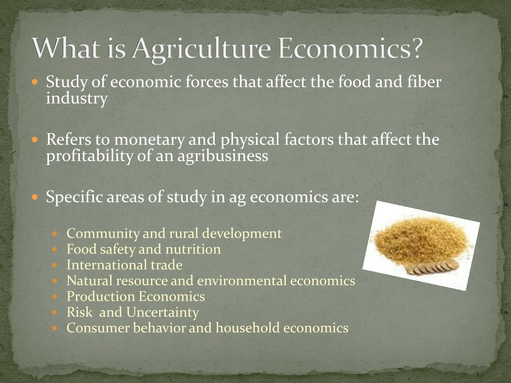 What Is Agricultural Economics