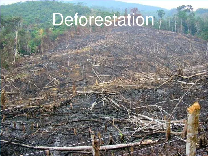 PPT - Deforestation PowerPoint Presentation, free download - ID:9333227