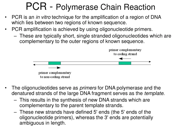 pcr polymerase chain reaction n.