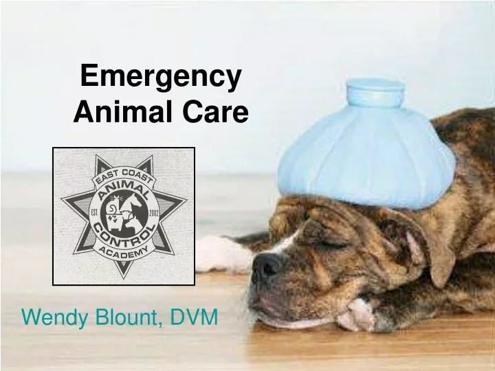 emergency animal care n.