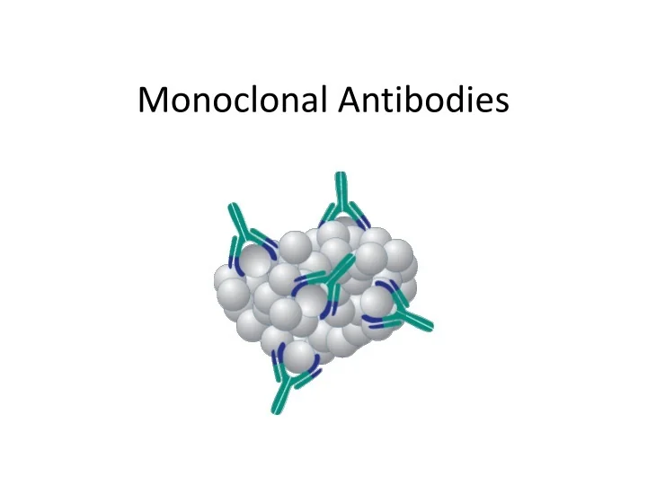 PPT - Monoclonal Antibodies PowerPoint Presentation, free download - ID ...