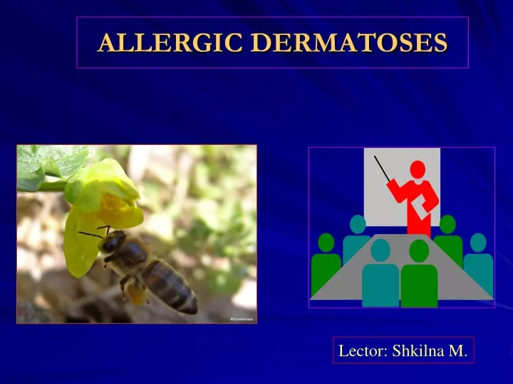 allergic dermatoses n.