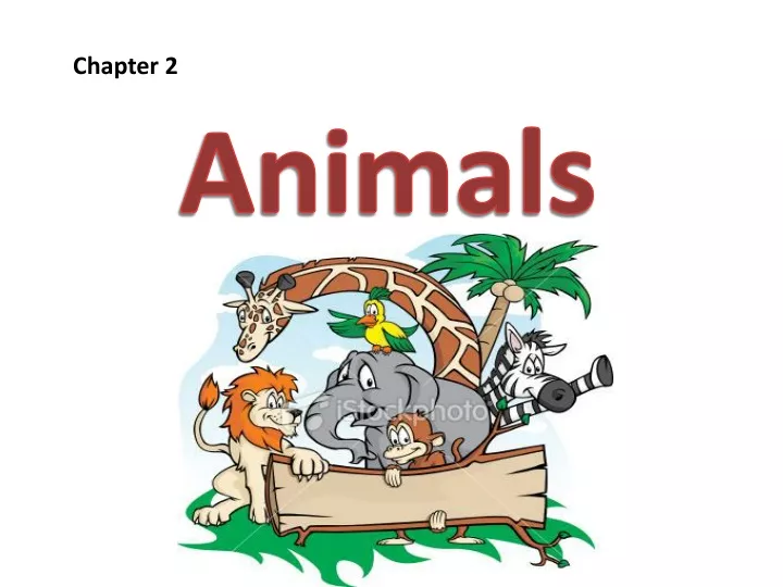 PPT - Animals PowerPoint Presentation, Free Download - ID:9345361