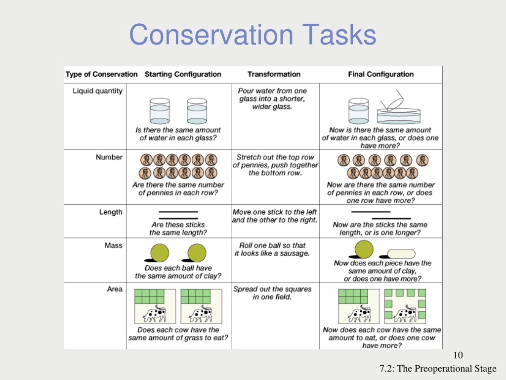 Preoperational conservation best sale