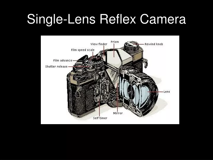 single lens reflex camera n.