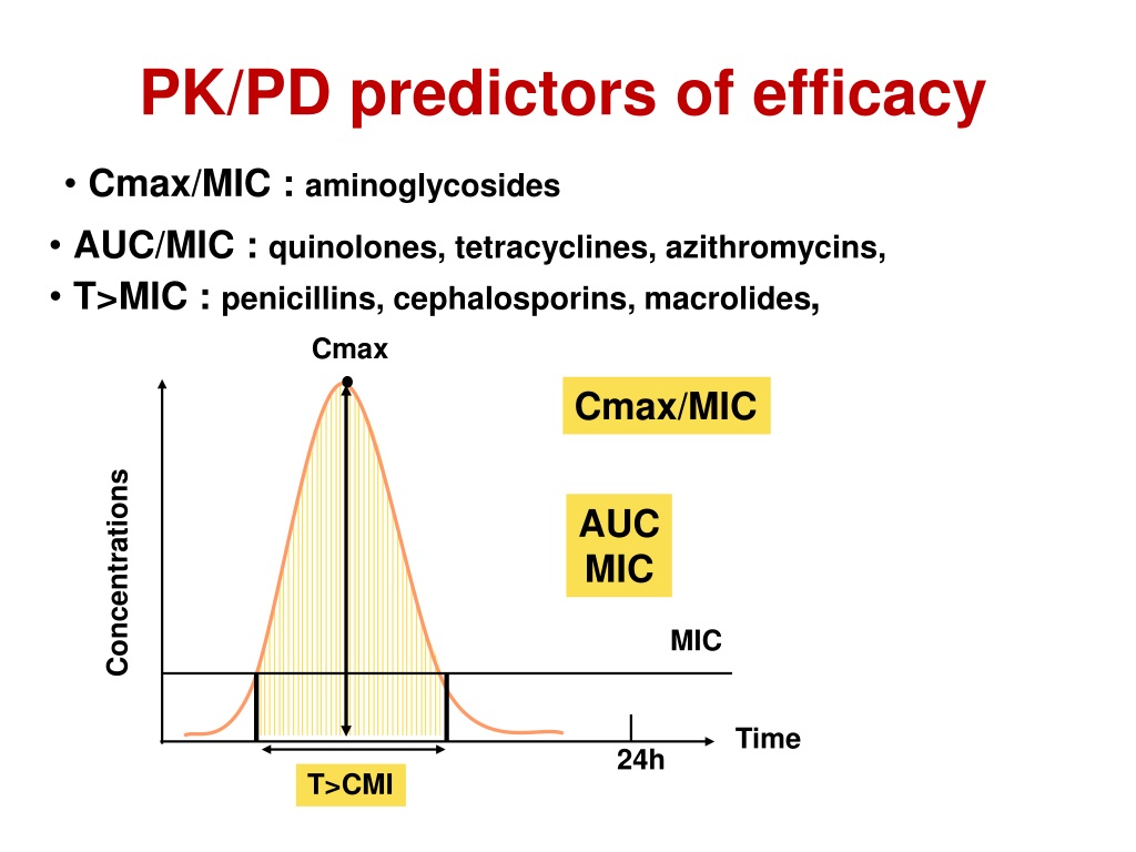 PPT PK PD For Antibiotics An Overview PowerPoint Presentation Free 