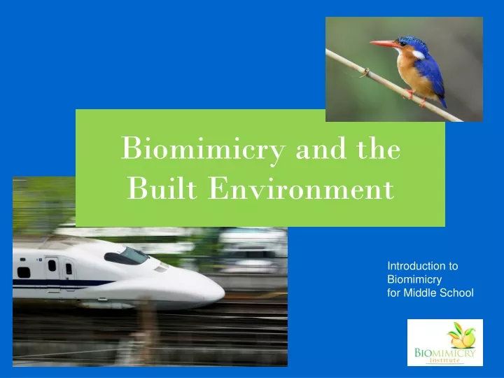 biomimicry and the built environment n.