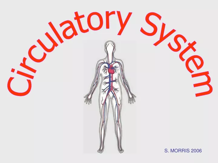 PPT - Circulatory System PowerPoint Presentation, free download - ID ...