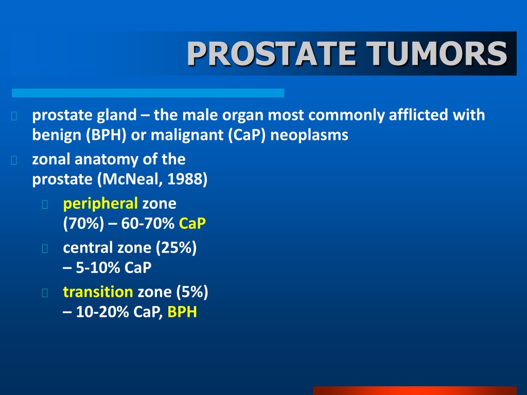 PPT - PROSTATE TUMORS PowerPoint Presentation, free download - ID:9348635