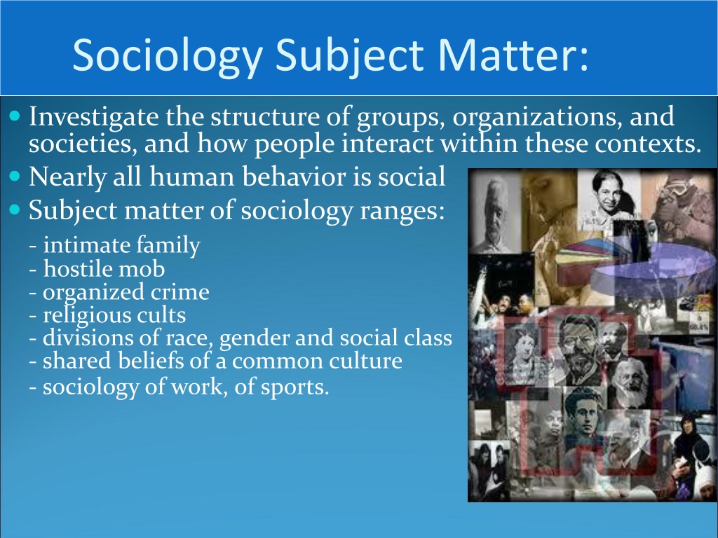 branches-of-sociology-sociology-blog