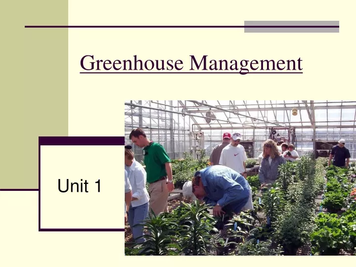 PPT Greenhouse Management PowerPoint Presentation, free download ID