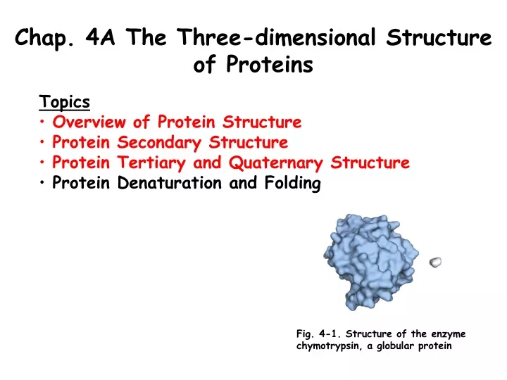 chap 4a the three dimensional structure n.
