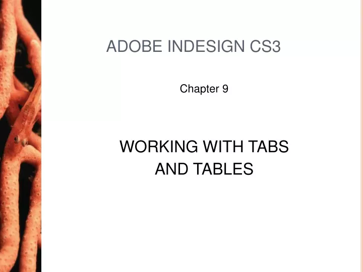 adobe in indesign cs3 free download