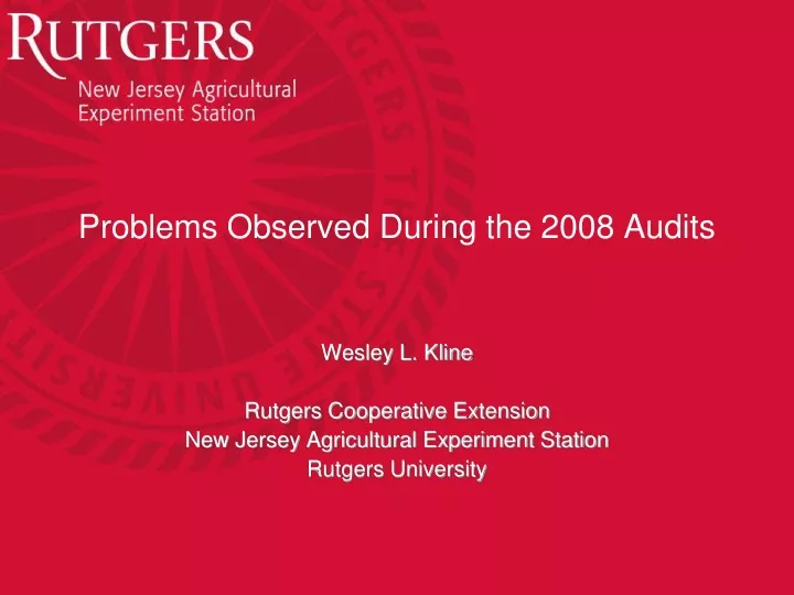 problems observed during the 2008 audits n.