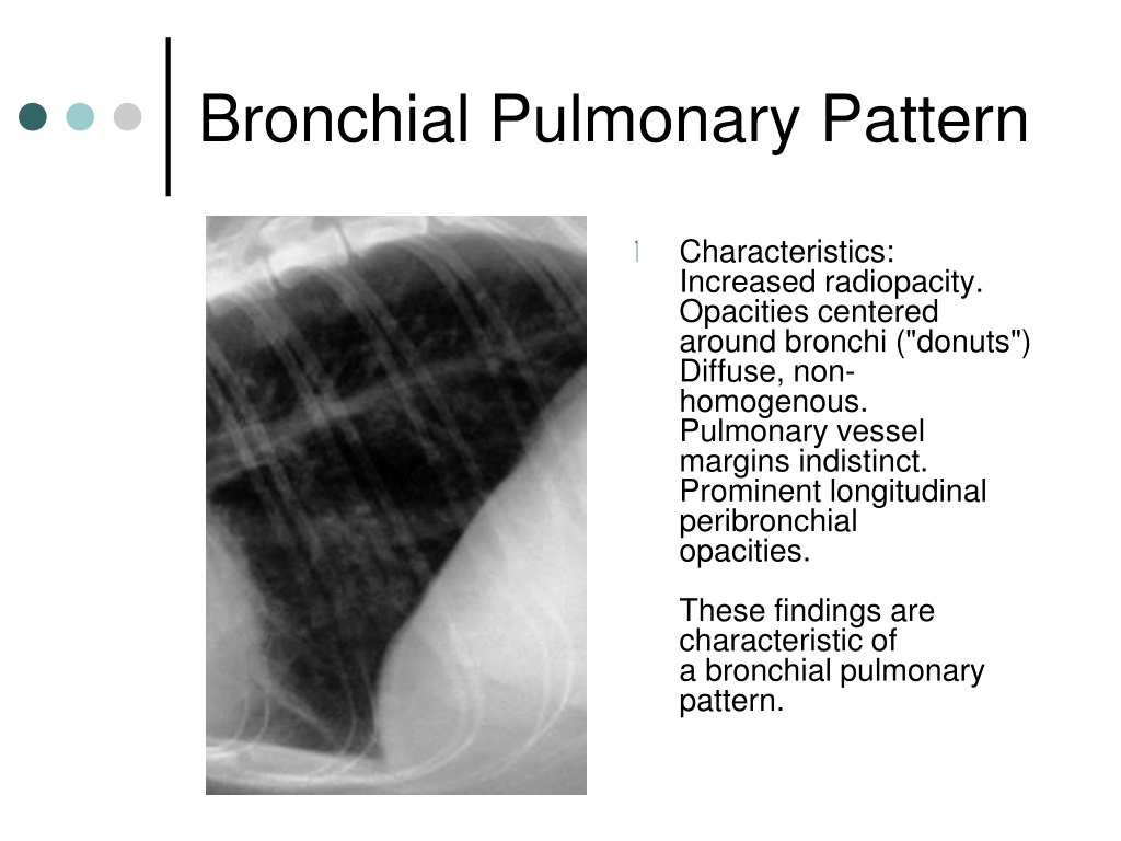 PPT Veterinary Radiology PowerPoint Presentation, free download ID