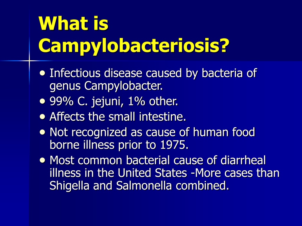 Ppt Campylobacter Jejuni Powerpoint Presentation Free Download Id9357355