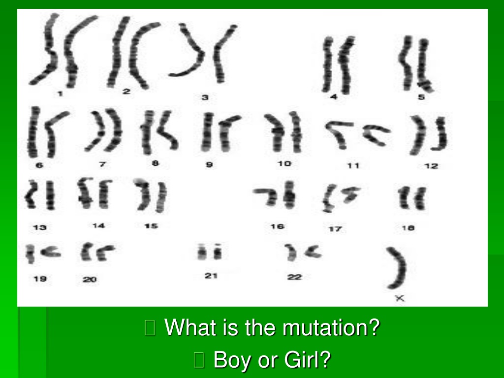 Ppt Karyotypes And Chromosome Mutations Powerpoint Presentation Id9358649 7064