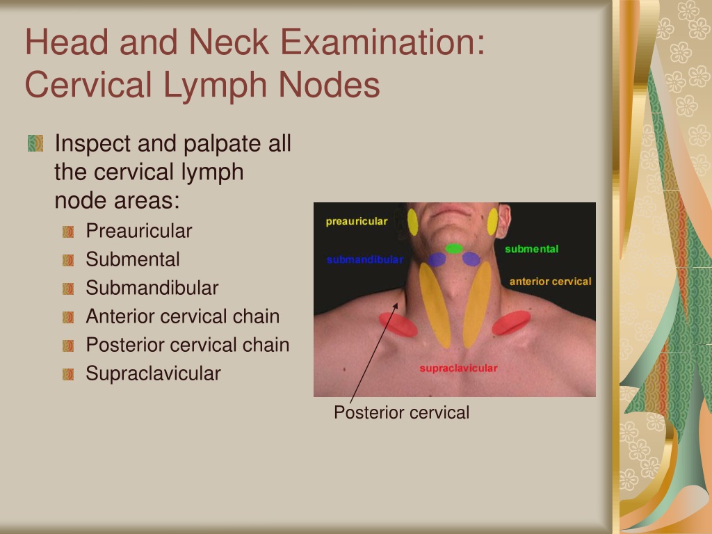 PPT - Introduction to Physical Examination PowerPoint Presentation ...