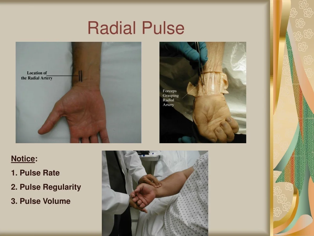 PPT Comprehensive Guide To Physical Examination Techniques PowerPoint 