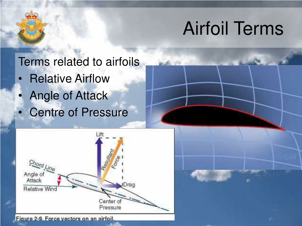 PPT - Theory Of Flight PowerPoint Presentation, Free Download - ID:9363402