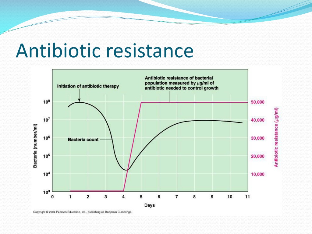 PPT - MECHANISMS OF ANTIBIOTIC RESISTANCE PowerPoint Presentation, Free ...