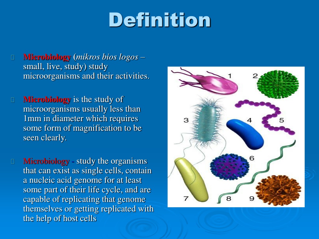 See definition. Microorganisms and Microbiology. Classification of microorganisms. Classification of Microbes. Is в микробиологии.