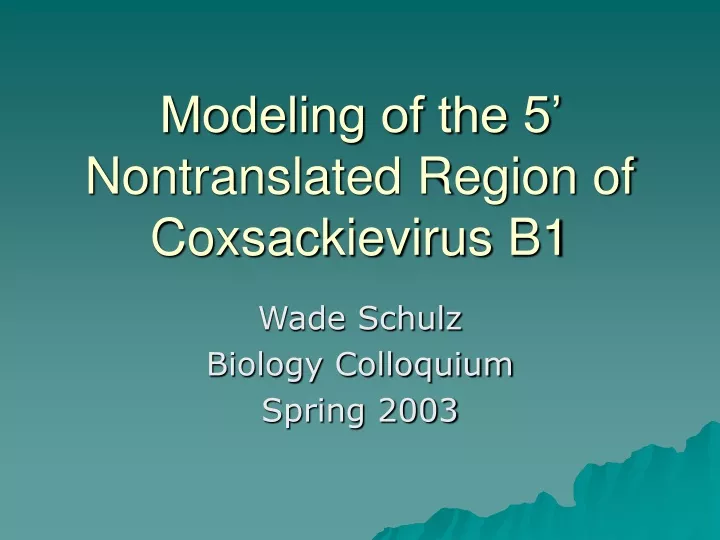 modeling of the 5 nontranslated region of coxsackievirus b1 n.