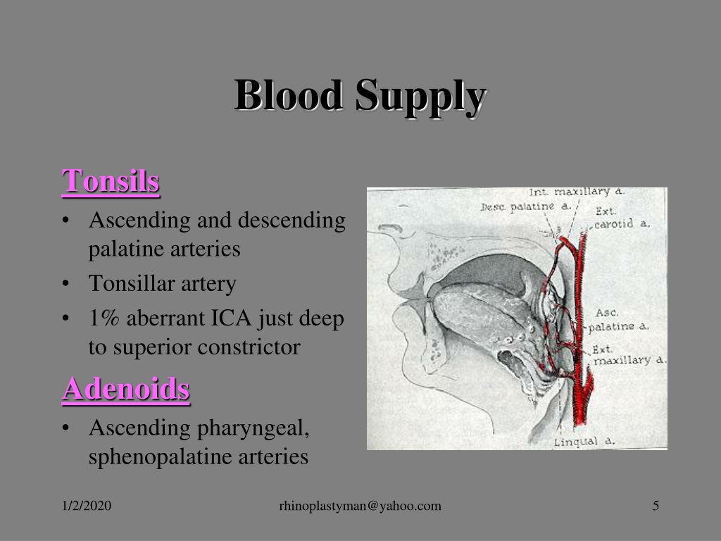 PPT - Tonsillectomy, and Adenoidectomy PowerPoint Presentation, free ...