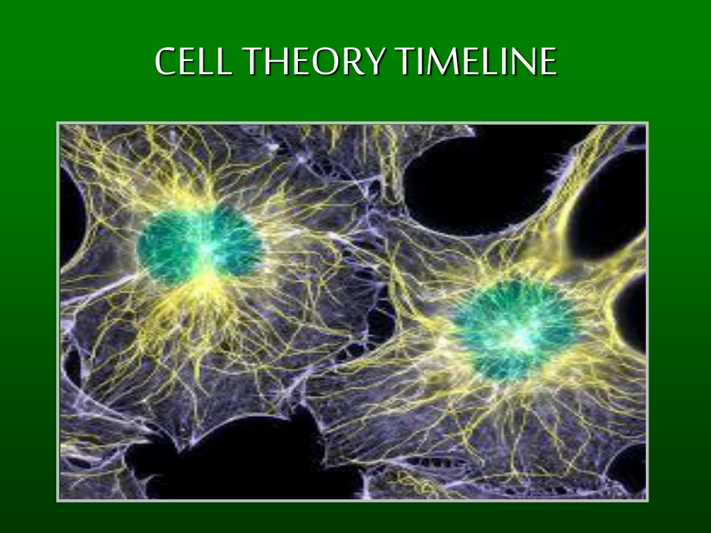 Cell Theory Timeline L 
