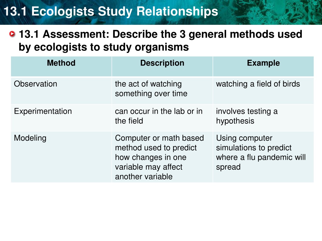 what are the three research methods typically used by ecologists