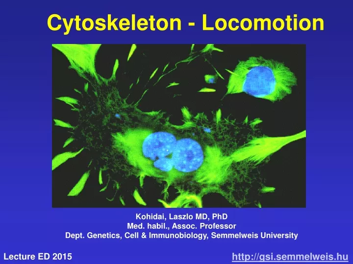 cytoskeleton locomotion n.