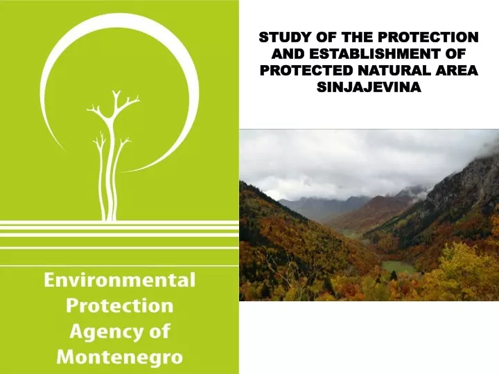 study of the protection and establishment of protected natural area sinjajevina n.