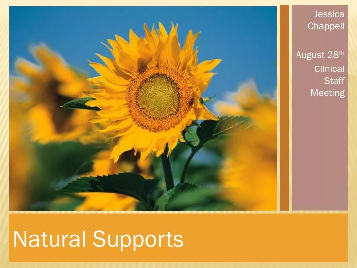 natural supports n.
