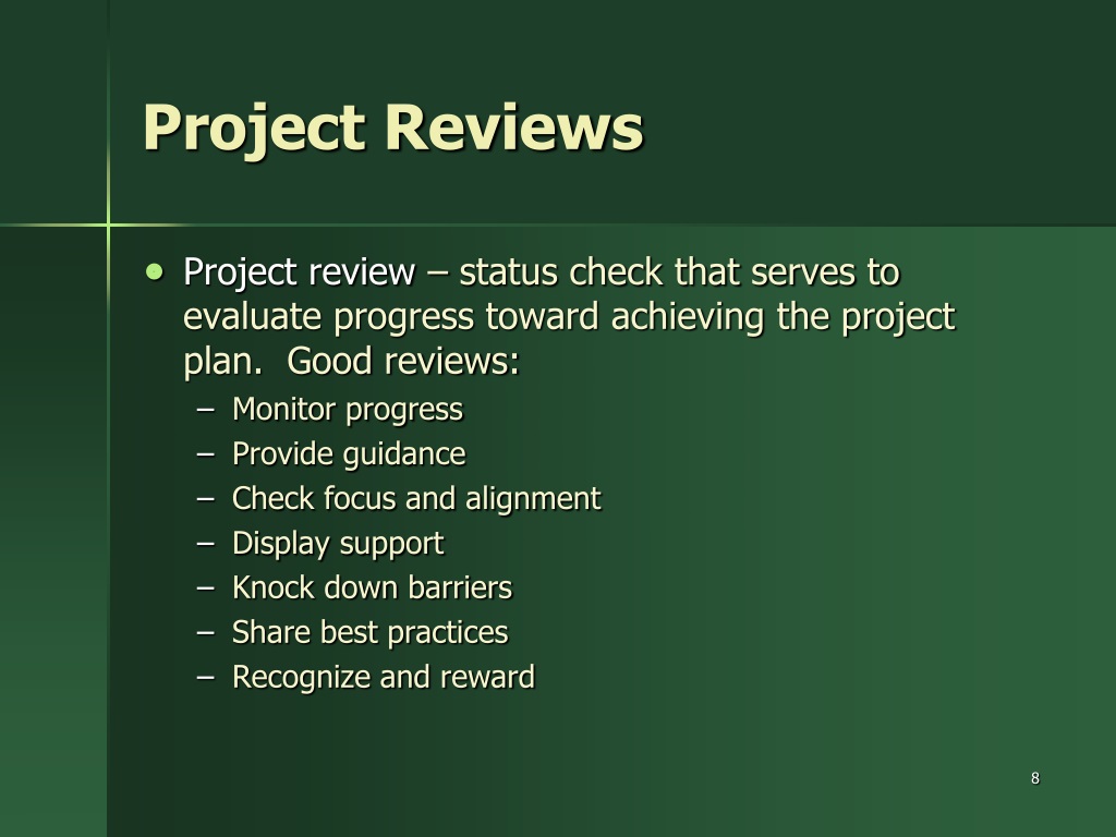 what is review in project