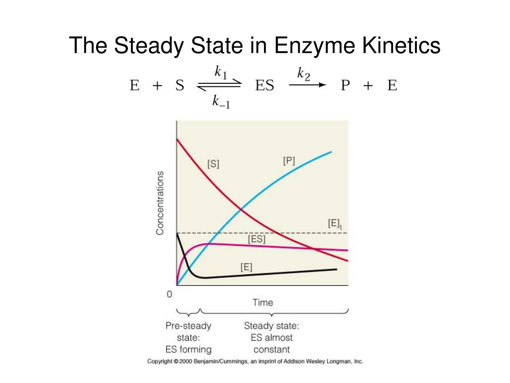 ppt-enzyme-kinetics-powerpoint-presentation-free-download-id-9379885