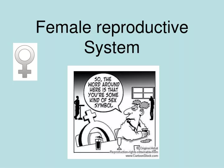 Female Reproductive System Powerpoint Slides 